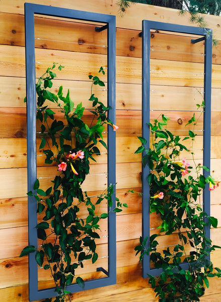 indoor plant trellis wall INA WALL TRELLIS SR | Terra Trellis