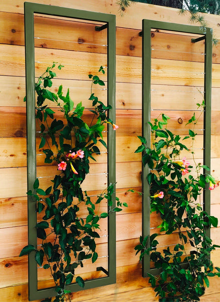 Hanging Trellis Single ハンギングトレリスシングル　庭手入 Gridlock Garden Trellis – The Birdhouse Chick