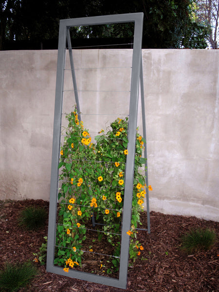 GIRUVI 「Grow on the Wall」Gracilius GSky Plant Systems - Greenroofs.com