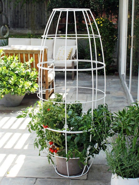 container plant trellis TOKI BUBBLE TRELLIS | Terra Trellis