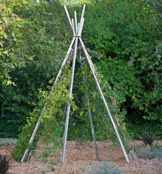 wooden teepee trellis Annabel Garden Tipi, Garden Teepee, modern garden teepee trellis tipi