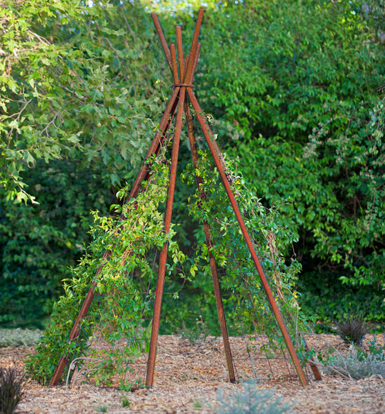 wooden garden trellis Annabel Garden Tipi, Garden Teepee, modern garden teepee trellis tipi