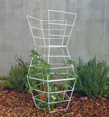 tomato plant racks GEO TOMATO CAGE