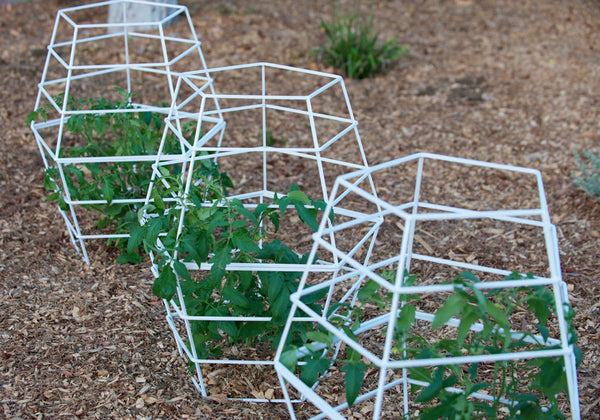 tomato cage plant trellis GEO TOMATO CAGE