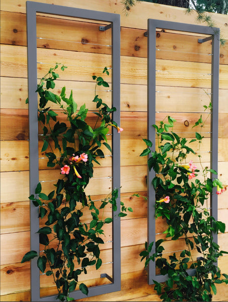 best plants for wall trellis INA WALL TRELLIS SR | Terra Trellis