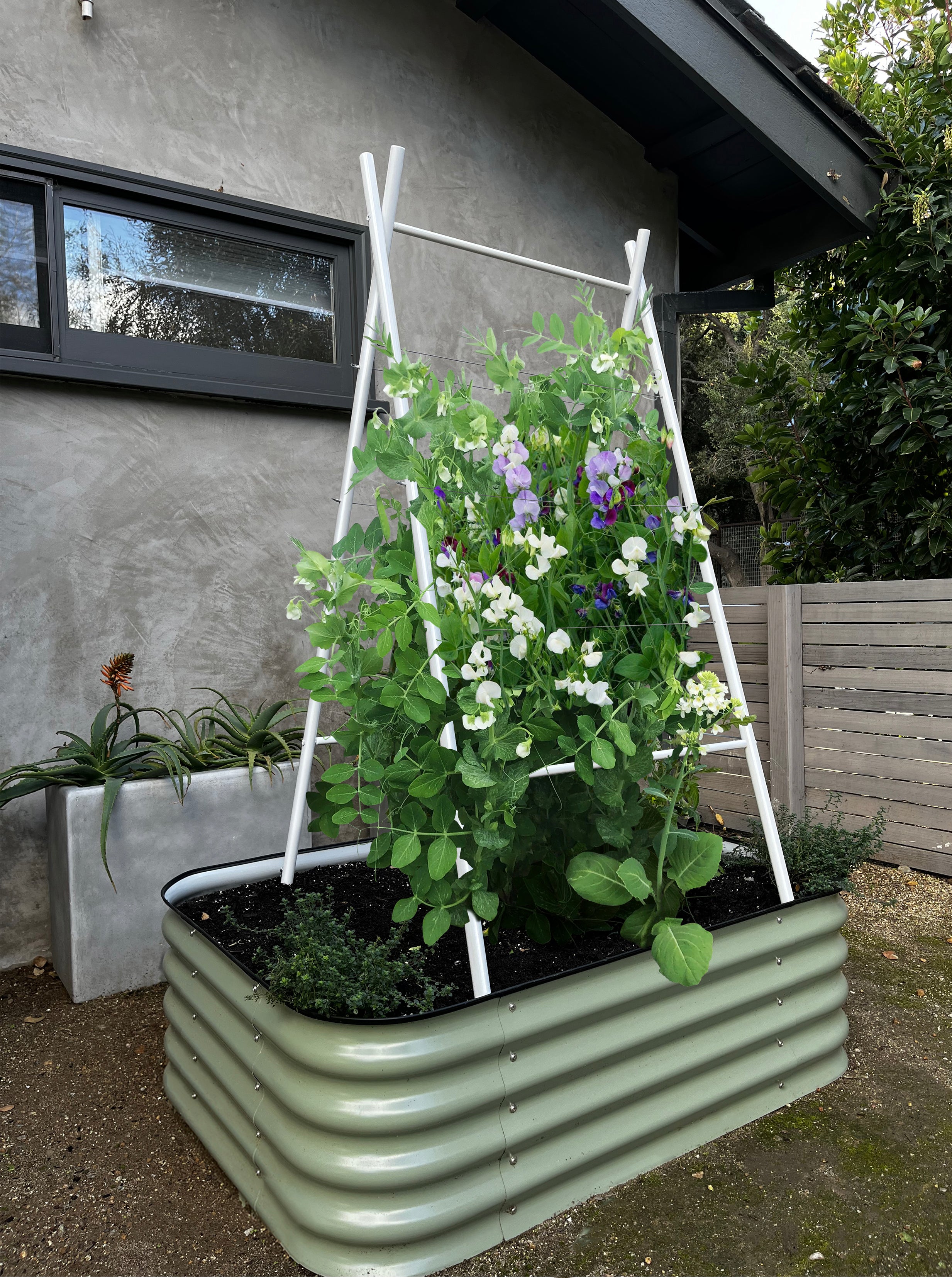 EPIC GARDENING | Terra Trellis | TerraSculpture/TerraTrellis