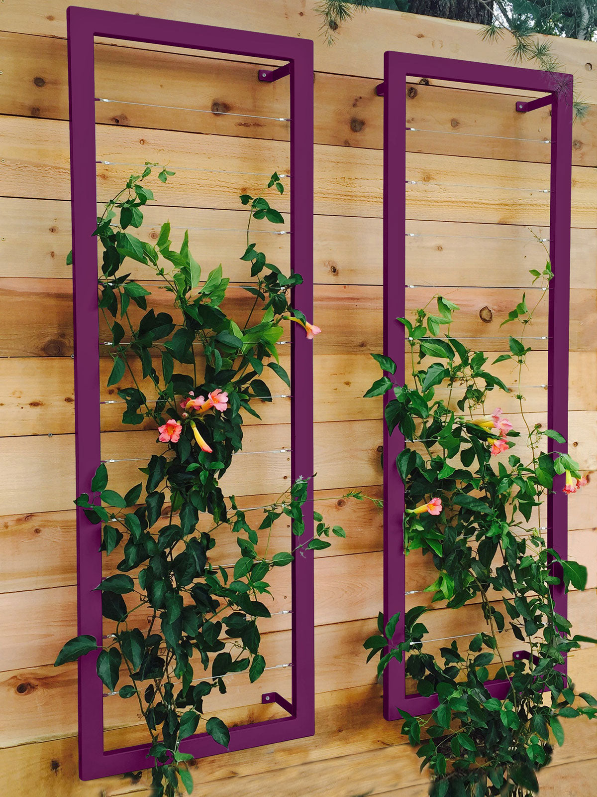 ina modern wall trellis sr aubergine