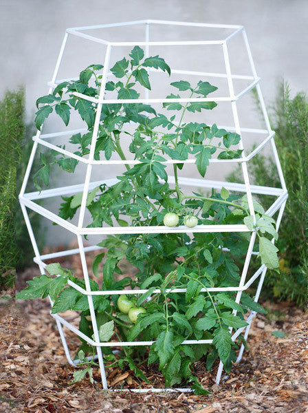 tomato cage plant trellis GEO TOMATO CAGE