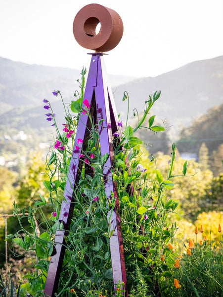 BIRD CAFE WITH TRELLIS