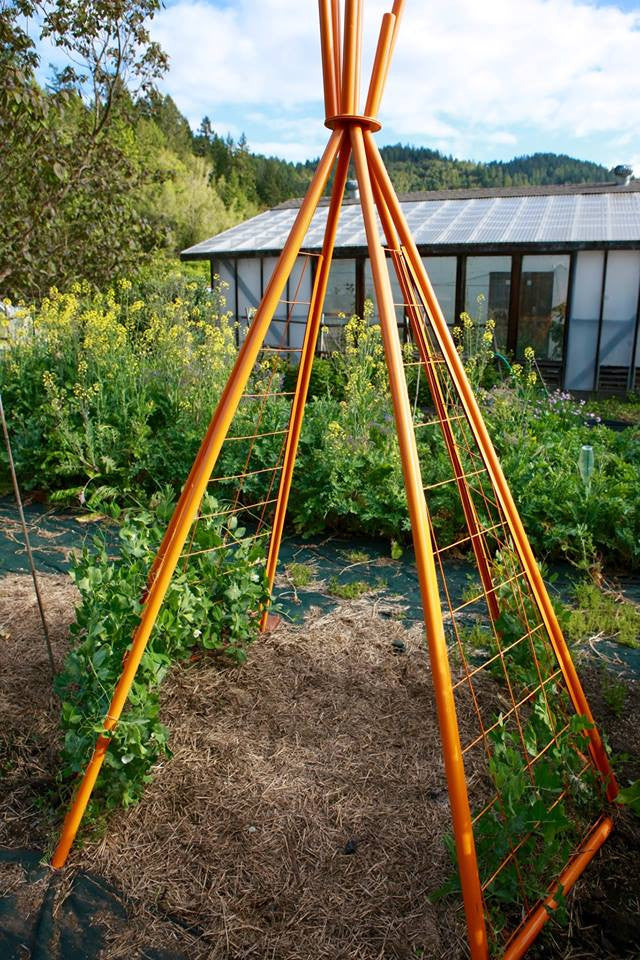 modern plant trellis Annabel Garden Tipi, Garden Teepee, modern garden teepee trellis tipi